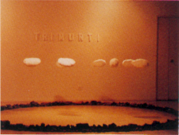 Preservation Installation