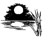 Moon Fall