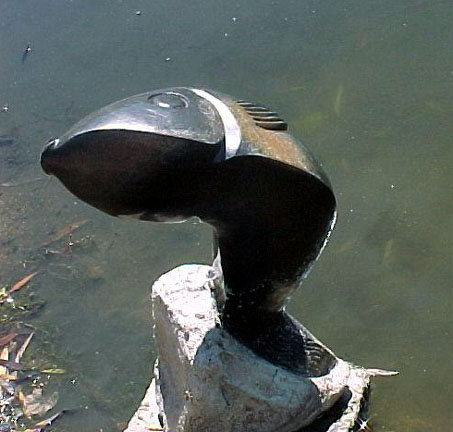 object
