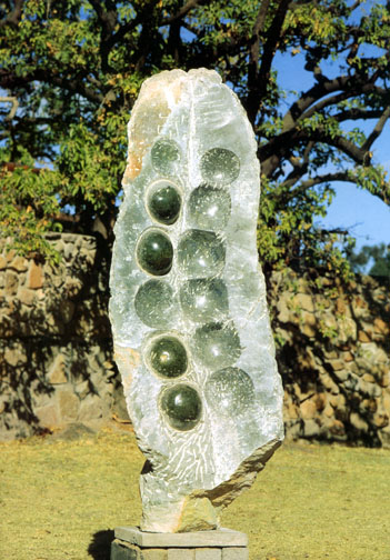 Wild Seedpod