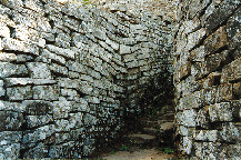 The Staircase Up