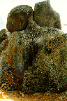 Hill Complex (top)