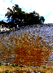The Wall