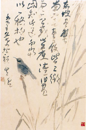 Sparrow in the Rice Field