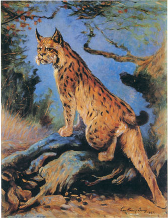 Lynx