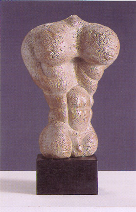 Male Torso