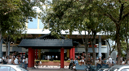 Public Housing, Chinatown