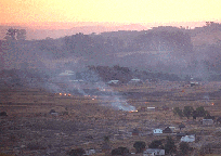 burning stalks at sunset